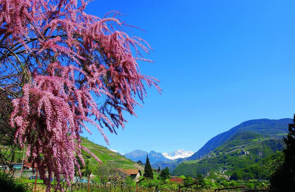 Hotel Rentschnerhof Bolzano Luaran gambar